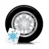 Penumatici da neve