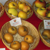 Pomologicas